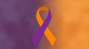 Fevereiro é o mês de conscientização sobre as doenças: lúpus, fibromialgia e mal de alzheimer.